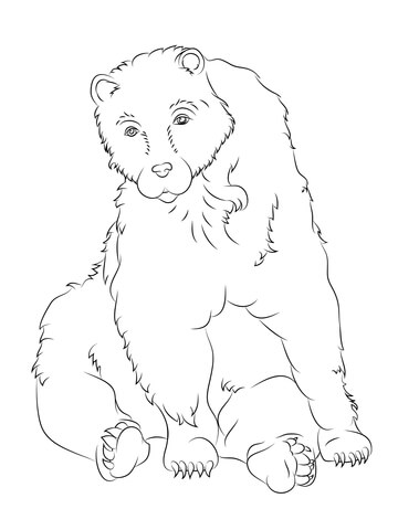 Sitting Brown Bear Coloring Page